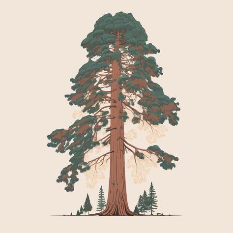 Red Wood Tree Drawing, Sequoia Tree Art, Giant Sequoia Tree Tattoo, Cypress Tree Illustration, Sequoia Tree Tattoo Simple, Sequoia Drawing, Fir Tree Drawings, Redwood Tree Art, Sequoia Tree Drawing