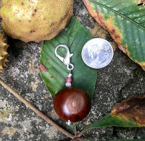 Real, Beautiful, Simple, Cured Buckeye Charm, Pendant, or zipper pull. Perfect for Buckeye Fans!  Ohio State/Football/Accessory/Gift/College Free Shipping contiguous USA. Collected on our own property in beautiful Wyoming Ohio, this Buckeye charm has scarlet and grey ceramic beads with a silver lobster clasp and end cap.  Please see the pictures. All of our Buckeye necklaces have local OHIO Buckeyes that have been washed and cured to be preserved to enjoy for a very long time.   ...AND WE ARE HA Buckeye Crafts Ideas, Buckeye Necklaces, Ohio State Buckeyes Crafts, Buckeye Jewelry, Buckeye Crafts, Ohio Football, Ohio Buckeyes, Ohio State Buckeyes Football, Buckeyes Football