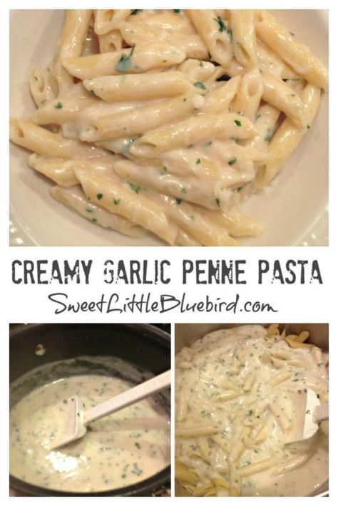 CREAMY GARLIC PENNE PASTA - Quick & Easy, Family Favorite Garlic Penne Pasta, Creamy Garlic Penne Pasta, Easy Pasta Dinner Recipes, Penne Pasta Recipes, Pasta Easy, Creamy Pasta Dishes, Pepper Pasta, Pasta Dinners, Pasta Dinner Recipes