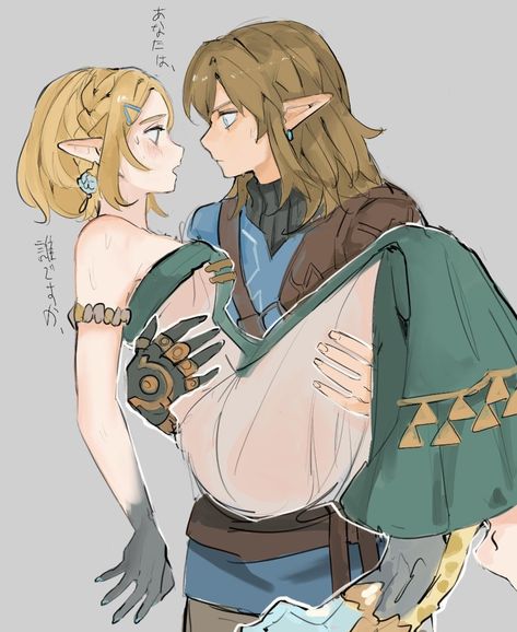 Princess Zelda Art, Zelda Drawing, Princesa Zelda, Zelda Funny, Zelda Cosplay, Link Zelda, Zelda Art, Legend Of Zelda Breath, Zelda Breath