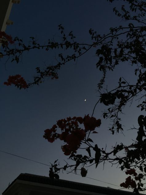 Amira Aesthetic, Tunisian Aesthetic, Passion Photography, Sky Night, Utility Pole, Photography, Beauty