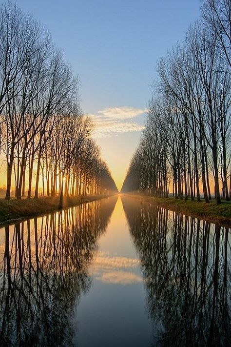 Perfect Reflection Earth Pictures, Reflection Photography, Better Person, Better Future, Still Water, Beautiful Tree, Beautiful Photography, Amazing Nature, Nature Pictures