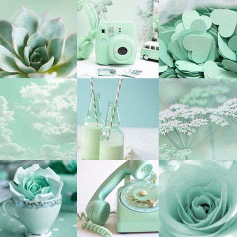 Mint green mood board🍃 Mint Green Mood Board, Green Aethstetic Wallpaper, Green Mood Board, Mint Green Wallpaper Iphone, Blue Hour Photography, Mint Tone, Mint Aesthetic, Mint Green Wallpaper, Disney Wall Art