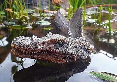 Dinosaur Toy Photography | Congrats to Washington Marques for this month's banner pic. | Facebook Dinosaur Toy Photography, Dinosaur Photography, Dinosaur Banner, Dinosaur Stuff, Dinosaur Books, Dino Art, Cool Dinosaurs, Prehistoric Wildlife, Design Sculpture