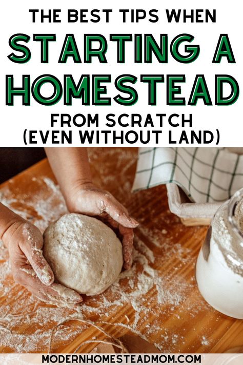 13 must read tips for the beginner homesteader. Start your urban homestead today even without land. How to start Homesteading in an apartment. How to start your homestead garden. Homesteading for Beginners- Guide to Starting a Homestead. How To Start A Small Homestead, How To Be A Homesteader, First Steps To Homesteading, Things To Start Making From Scratch, How To Start Homesteading Slowly, Homestead For Beginners, Homestead Needs, Homesteading Must Haves, Homestead Schedule Daily