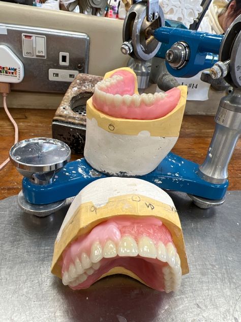 Orthodontist Assistant, Dental Lab Technician, Dental Images, Dentistry Student, Dental Anatomy, Aesthetic Dentistry, Dental Technician, Dental Laboratory, Dental School