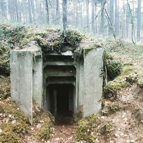 Found Old Soviet Bunkers In The Woods Abandoned Engineering, Soviet Bunker, Nuclear Shelter, Nuclear Fallout, Secret Bunker, Bunker Hill Monument, Doomsday Bunker, Military Bunkers, Old Concrete