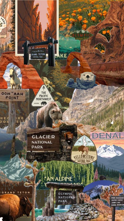 National park girlies National Park Ranger Aesthetic, National Parks Wallpaper, National Park Collage, National Parks Aesthetic, Chaos Journal, National Park Scrapbook, Park Ranger Aesthetic, Wildlife Aesthetic, National Park Aesthetic