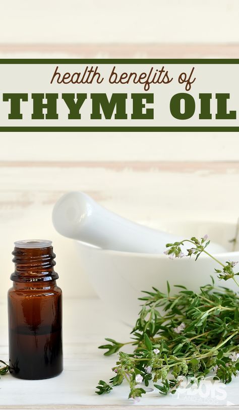 health benefits of thyme oil Thyme Oil Benefits, Benefits Of Thyme, Health Benefits Of Thyme, Healing Salve Recipe, Garden Sage, Wild Thyme, Healing Salve, Thyme Essential Oil, Thyme Oil