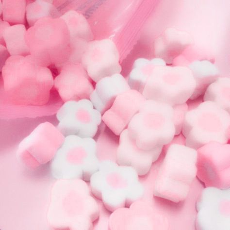 ♡´･ᴗ･`♡ | Pastel pink aesthetic, Soft pink theme, Baby pink aesthetic Soft Pink Theme, Pink Images, Baby Pink Aesthetic, Pink Foods, Pastel Pink Aesthetic, Pink Vibes, Pink Themes, Kawaii Aesthetic, Aesthetic Colors