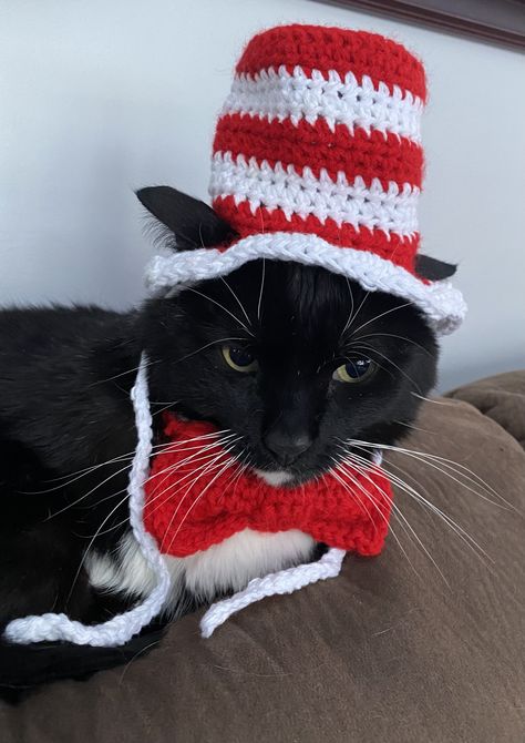 Pet Hats Crochet, Crochet Pet Halloween Costume, Cat Crochet Hats, Crochet Cat Costume Free Pattern, Crochet Stuff For Cats, Crochet Cat Outfits, Crochet Cat Halloween Costume, Crochet Clothes For Cats, Crochet Ideas For Cats