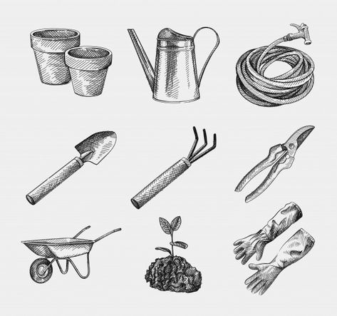 Hand-drawn sketch of gardening tools and... | Premium Vector #Freepik #vector #hand Gardening Tools Illustration, Shears Tattoo, Tools Illustration, Digging Fork, Illustration Tips, Garden Knife, Spade Tattoo, Florist Tools, Tool Tattoo