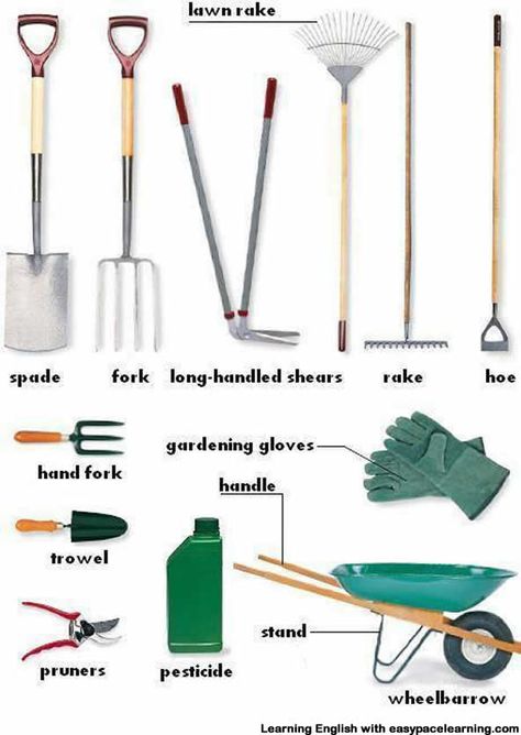 Learning the vocabulary for garden equipment. Each piece of garden equipment as a short description Picture Composition, English Vocab, Garden Equipment, English Tips, Home Vegetable Garden, Grammar And Vocabulary, Learn English Vocabulary, English Vocabulary Words Learning, English Language Learning