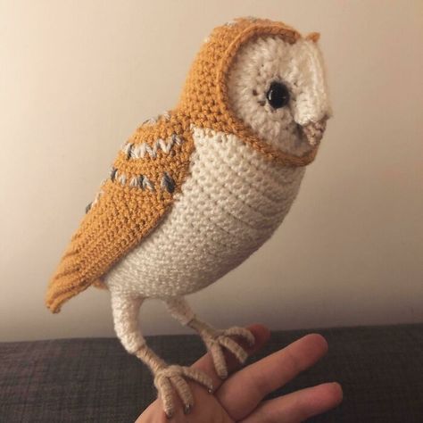 A Barn Owl Owl Crochet, Crochet Owls, Owl Crochet Patterns, Silly Hats, Care Less, Crochet Octopus, Crochet Owl, Crochet Sunflower, Owl Patterns