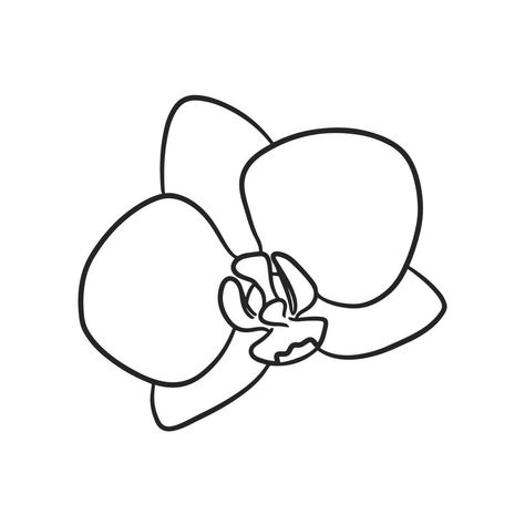 Orchid Drawing Simple, Orchid Outline, Orchid Flower Drawing, Drawing Coloring Pages, Orchid Illustration, Orchid Drawing, Drawing Line Art, Contour Drawing, Outline Drawings