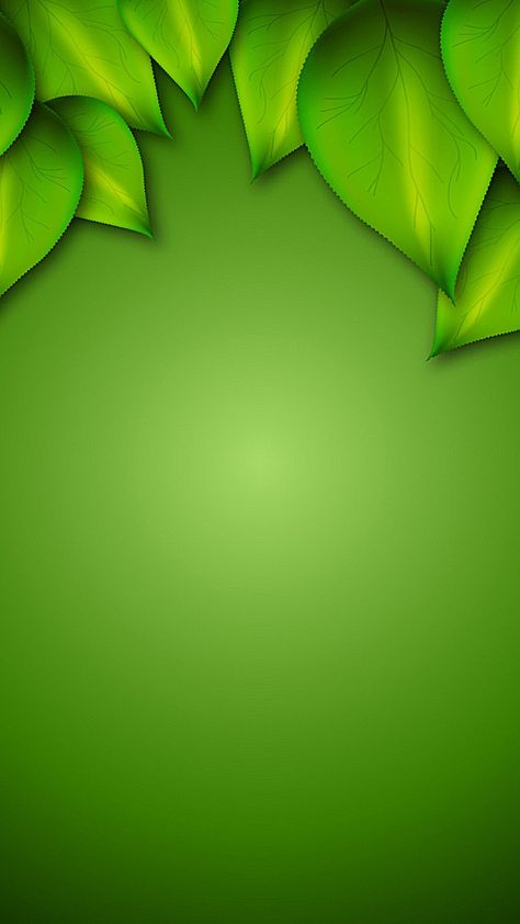 Beautiful Green Background, Green Background Wallpapers, Green Design Background, Frutiger Eco, Leave Background, Background Images Green, Green Background Design, Leaf Green Color, Green Background Images