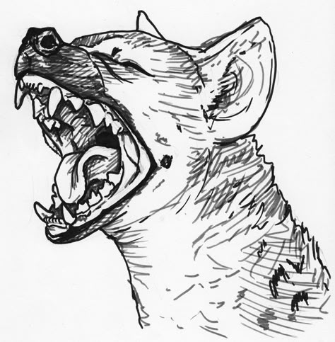 Hyena Tattoo, Desenho Tattoo, Animal Sketches, Hyena, Creature Design, Art Reference Poses, Art Sketchbook, Tattoo Drawings, Animal Drawings