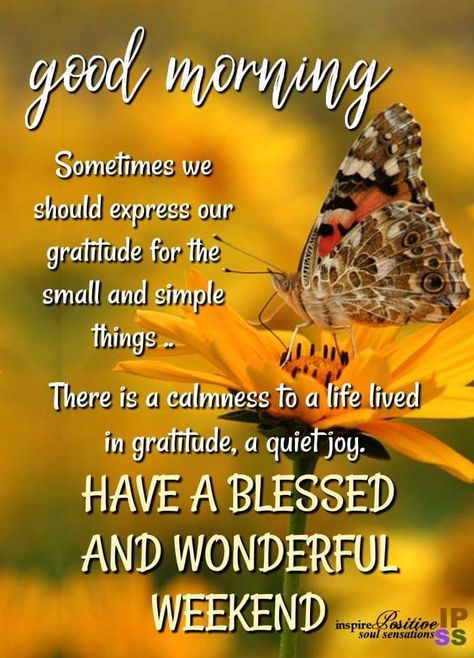 “Gratitude turns what we have into enough. Joy is the simplest form of gratitude.” #beGrateful #thesimplethings Have A Great Weekend Quotes Inspiration, Joy Comes In The Morning Quotes, Happy Friday Weekend, Gm Friday, Enjoy Weekend, Morning Verses, Weekend Messages, Weekend Blessings, Blessed Weekend