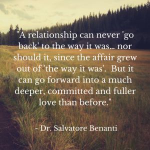 NJ therapist Dr. Salvatore Benanti offers couples with expert tips on relationship healing and marital reconciliation after a cheating spouse's infidelity. Infidelity Quotes, Affair Quotes, Cheating Spouse, Rebuilding Trust, Cheating Quotes, Take My Hand, Broken Marriage, Cheating Husband, Saving A Marriage