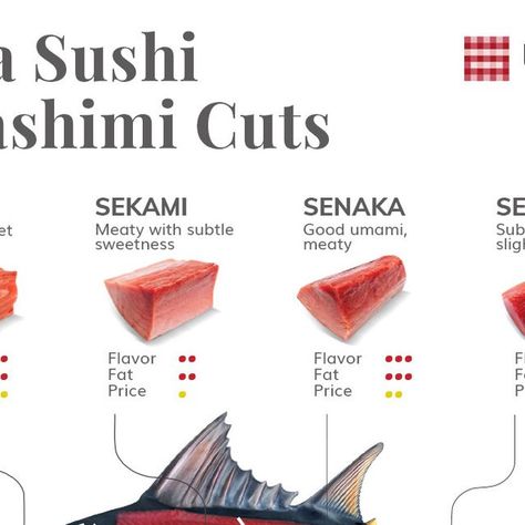 Tuna Sashimi, Sushi Menu, Anatomy