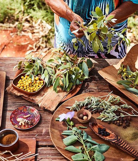 Native ingredients from Voyagers Ayers Rock masterclass Indigenous Recipes, Aboriginal Food, Bush Tucker, Native Foods, Finger Lime, Ayers Rock, Aboriginal Culture, Native Australians, Australian Plants