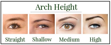 Eyebrow Shapes | Learn which arch is right for you. Different Eyebrow Shapes, How To Do Eyebrows, Eyebrow Shapes, Eyebrows Makeup, Arch Brows, Arched Eyebrows, How To Grow Eyebrows, How To Draw Eyebrows, Permanent Eyebrows