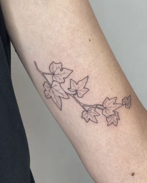 English Ivy Tattoo, Ivy Leaf Tattoo, Wine Tattoo, Ivy Tattoo, Tattoo Appointment, The Ivy League, Basic Tattoos, Wrap Tattoo, Vine Tattoos