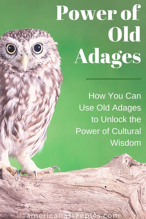 The next time you hear one of those pithy old adages, pause to savor the wisdom that is passed from generation to generation. These old expressions hold a special power that helps us communicate in ways that are effective, inspirational, and instructional. Learn more about the power of old adages! #adages #familystories #americana #americanasteeples #familysayings #oldsayings Generation Quotes, Generation To Generation, Generations Quotes, Strong Marriage, Family Stories, Old Quotes, The Wisdom, How To Wake Up Early, Family Relationships