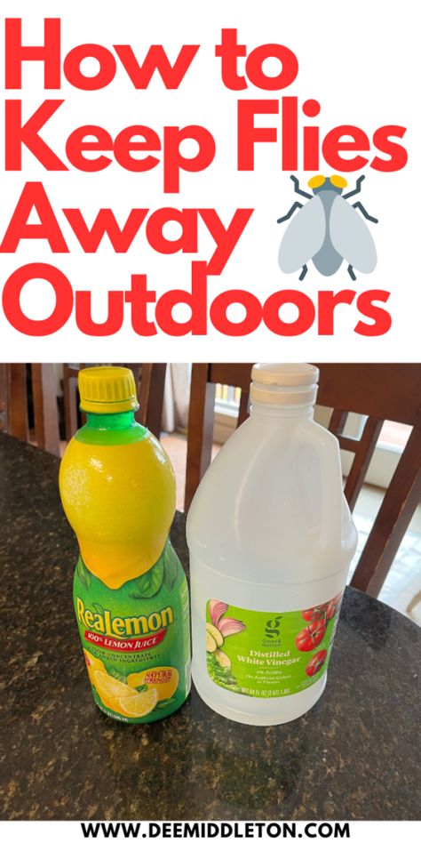 How to Keep Flies Away Outdoors - deemiddleton.com White Fly Spray Diy, Fly Spray For Yard, Black Fly Repellant Diy, Fly Repellant Diy Outdoors, Home Remedies For Flies, Diy Flies Repellent, Fly Repellant Diy, Homemade Fly Spray, Natural Fly Repellant