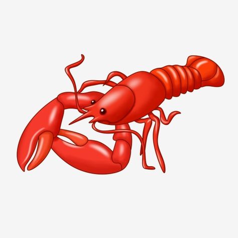 Lobster Clipart, Cartoon Lobster, Lobster Illustration, Gourmet Snacks, Map Pictures, Powerpoint Background Design, Powerpoint Background, Clipart Free, Close Up Photography