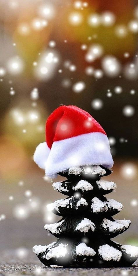 Christmas Images Wallpaper, Happy Christmas Day, Merry Christmas Wallpaper, Merry Christmas Pictures, Xmas Wallpaper, Christmas Phone Wallpaper, Cute Christmas Wallpaper, Merry Christmas Images, Merry Christmas Wishes