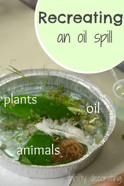 Talk to your Beavers about the dangers of oil spills. use this experiment to recreate an oil spill. Maybe make some bird feeders afterwards. Oil Spill Experiment, Bored Kids, Science Club, Teaching Biology, Fair Projects, Environmental Education, Oil Spill, Stem Projects, I'm Bored