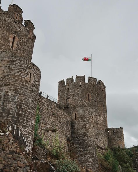 wales, wales, wales. what do we have here? #efultimatebreak #ultimateambassador #thisisultimate #wales Alysanne Blackwood, Wales Castles, Wales Aesthetic, Wales Nature, Northern Wales, Uk Castles, Castles In Wales, Wales Flag, Wales Travel