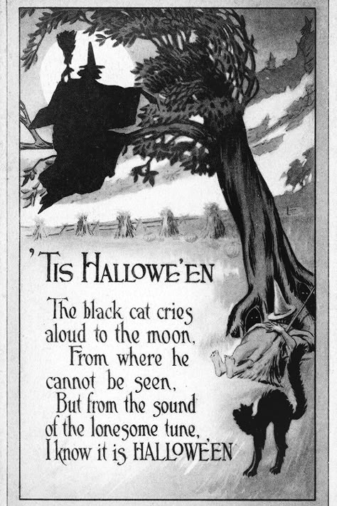 gravesandghouls: “ Halloween postcard c. 1900s ” Fairy Masquerade, Carnival Clown, Halloween Poems, Vintage Halloween Cards, Wall Paper Iphone, Paper Iphone, Vintage Halloween Images, Hot Halloween, Scary Clown