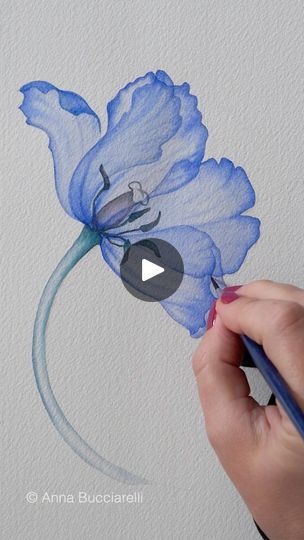 Poppy Flower Drawing, Poppy Watercolor, Watercolor Guide, Xray Art, Loose Watercolor Flowers, Watercolor Hummingbird, Paintings Tutorials, Flowers Paintings, Watercolor Tutorial