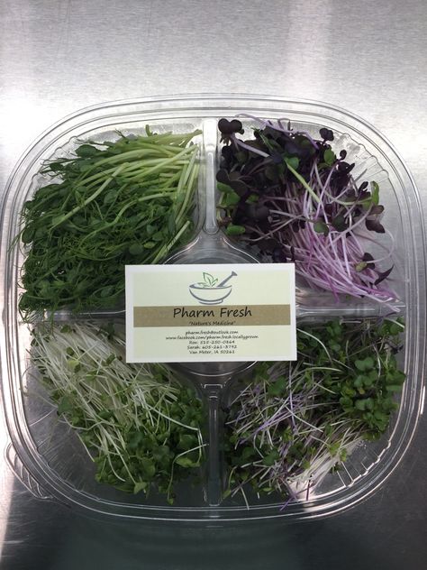 Microgreens Packaging Ideas, Microgreen Business, Micro Greens Packaging, Microgreen Packaging, Microgreens Packaging, Microgreens Food Photography, Microgreens Logo Graphic Design, Packaging Microgreens, How To Sell Microgreens