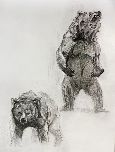 pencil drawing of bears Angry Bear Drawing, Bear Sketch, Angry Bear, Art Style Challenge, Bear Drawing, Pencil Art Drawings, Pen Drawing, Pencil Art, Creature Design