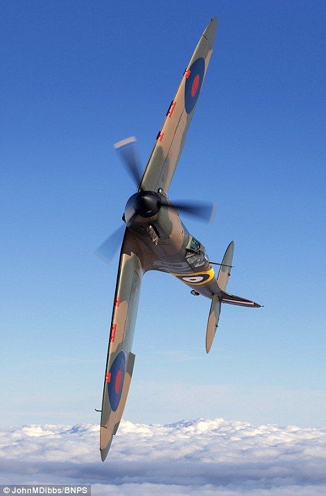 Phoenix: Spitfire N3200 (pictured), the oldest Spitfire still flying, was fully restored after being shot down over Dunkirk in May 1940 and reappearing from the sands in 1986 Spitfire Airplane, Spitfire Plane, Raf Aircraft, Ww2 Fighter Planes, Wwii Fighter Planes, Wwii Airplane, Old Planes, Wwii Fighters, Wwii Plane