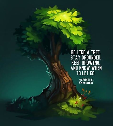 Be like a tree. life quotes quotes quote life motivational quotes quotes and sayings life goals quotes to live by Tree Of Life Quotes Inspiration Strength, Oak Tree Meaning, Tree Planting Quotes, Tree Of Life Quotes, Tree Meanings, Nativity Scene Pictures, Scene Pictures, When To Let Go, Tree Quotes