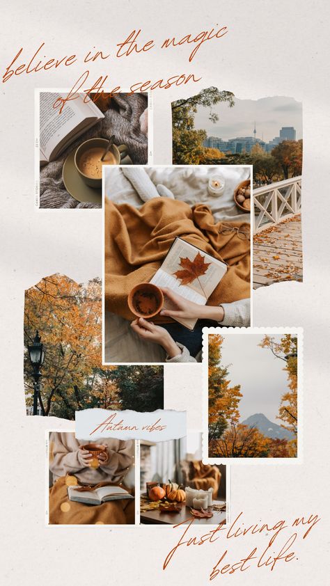 Cute Thanksgiving Wallpaper, Photo Collage Aesthetic, Orange Scrapbook, Fall Phone Wallpaper, September Wallpaper, E Business, Thanksgiving Wallpaper, Inspirational Quotes Wallpapers, Fall Fragrance