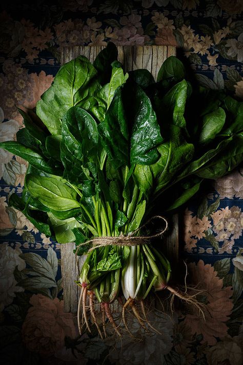 fresh spinach Green Leafy Vegetables, Ingredients Photography, Moody Food Photography, Vegetables Photography, Dark Food Photography, Dutch Masters, Beautiful Food Photography, Food Photography Inspiration, Leafy Vegetables