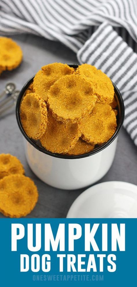 Pet Biscuits, Pumpkin Dog Treats Recipe, Dog Treats Recipe, Homemade Dog Cookies, Dog Biscuit Recipes, Pumpkin Dog Treats, Healthy Dog Treat Recipes, Dog Cookies, Dog Biscuits