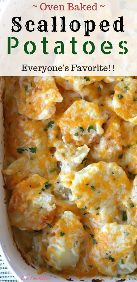 This is the best scalloped potato recipe! This extra creamy, Cheesy Scalloped Potatoes recipe is a family favorite! It's the perfect homemade scalloped potatoes recipe for Easter, Christmas or any family dinner. #sidedish #scallopedpotatoes #cheesypotatoes #potatoes #side #potatoecasserole #pottoesaugratin #cheesy #garlic #scalloped #potatoes #potato #thecarefreekitchen The Best Scalloped Potatoes, Russet Potato Recipes, Homemade Scalloped Potatoes, Cheesy Scalloped Potatoes Recipe, Easy Scalloped Potatoes Recipe, Best Scalloped Potatoes, Creamy Scalloped Potatoes, Scalloped Potatoes Easy, Cheesy Scalloped Potatoes