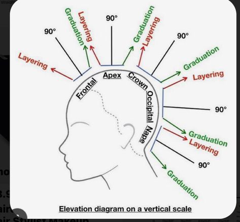 Hair Color Wheel, Beauty School Cosmetology, Hair Cut Guide, Hair Science, Hair Academy, Cosmetology Student, Hair Color Formulas, Hair School, Diy Haircut