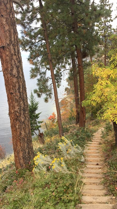 Lochview Trail, Kelowna, British Columbia — Exploratory Glory Travel Blog, Tinyhouse living, Travel deals Kelowna British Columbia, North America Travel Destinations, University Of British Columbia, Beautiful Canada, Fun Pics, Amazing Travel Destinations, Hiking Trail, North America Travel, Round Trip