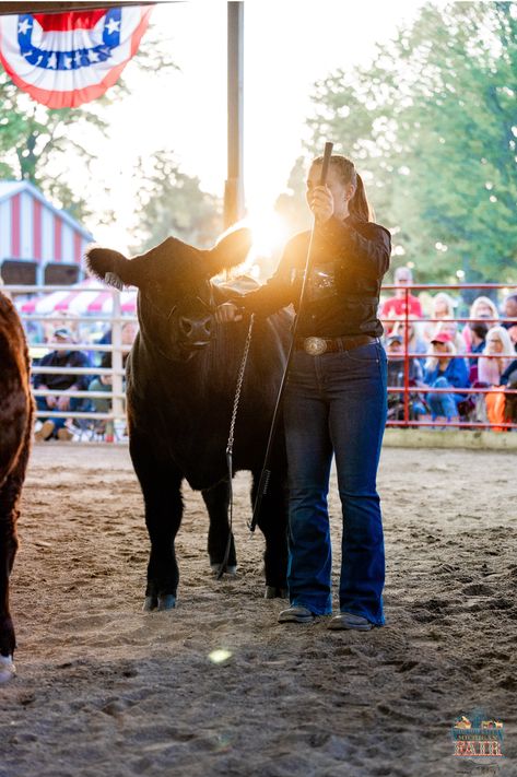 Showing Steers, Livestock Pictures, Cattle Showing, Fair Girls, Livestock Showing, Dream Boards, Show Steers, Show Cows, Cattle Barn