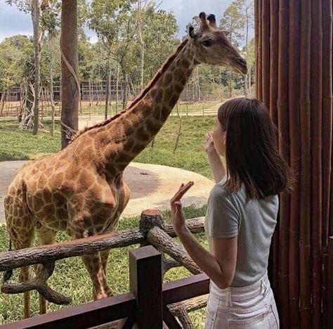 Zoo Date, Zoo Outfit, Zoo Pictures, Denver Zoo, Zoo Photos, Zoo Keeper, Cute Date Ideas, Vision Board Photos, In The Zoo