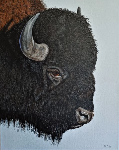 bison, buffalo Bison Painting Easy, Buffalo Painting, Buffalo Head, Ant Killer, Ants, Buffalo, Nature Photography, Acrylic Painting, Photography