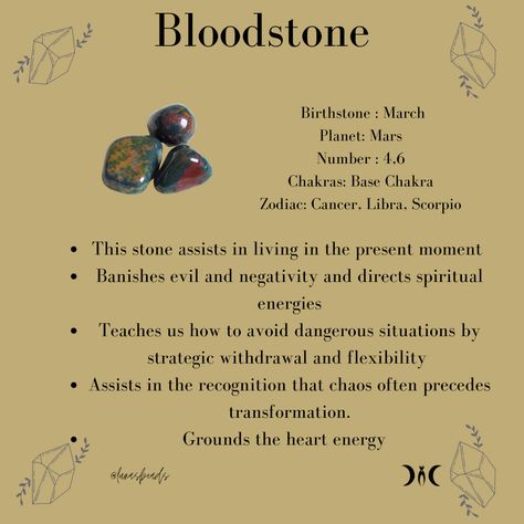 African Bloodstone Crystal Meaning, Dragon Stone Crystal Meaning, Bloodstone Crystal Aesthetic, Green Goldstone Crystal Meaning, African Bloodstone Meaning, Protection Stones From Evil, Dragon Bloodstone Meaning, Tuesday Crystals, Bloodstone Crystal Meaning