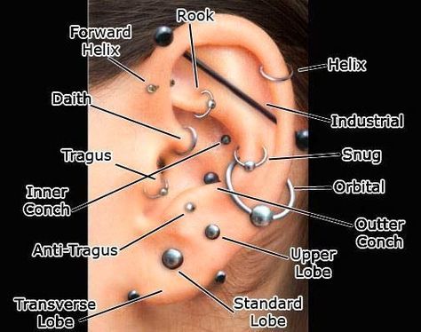 Piercing Types and 80 Ideas On How to Wear Ear Piercings #piercings #earpiercings #accessories Ear Piercing Diagram, Piercing No Lóbulo, Piercings Corps, Daith Piercing Migraine, Ušný Piercing, Orr Piercing, Ear Piercings Chart, Piercing Chart, Types Of Ear Piercings